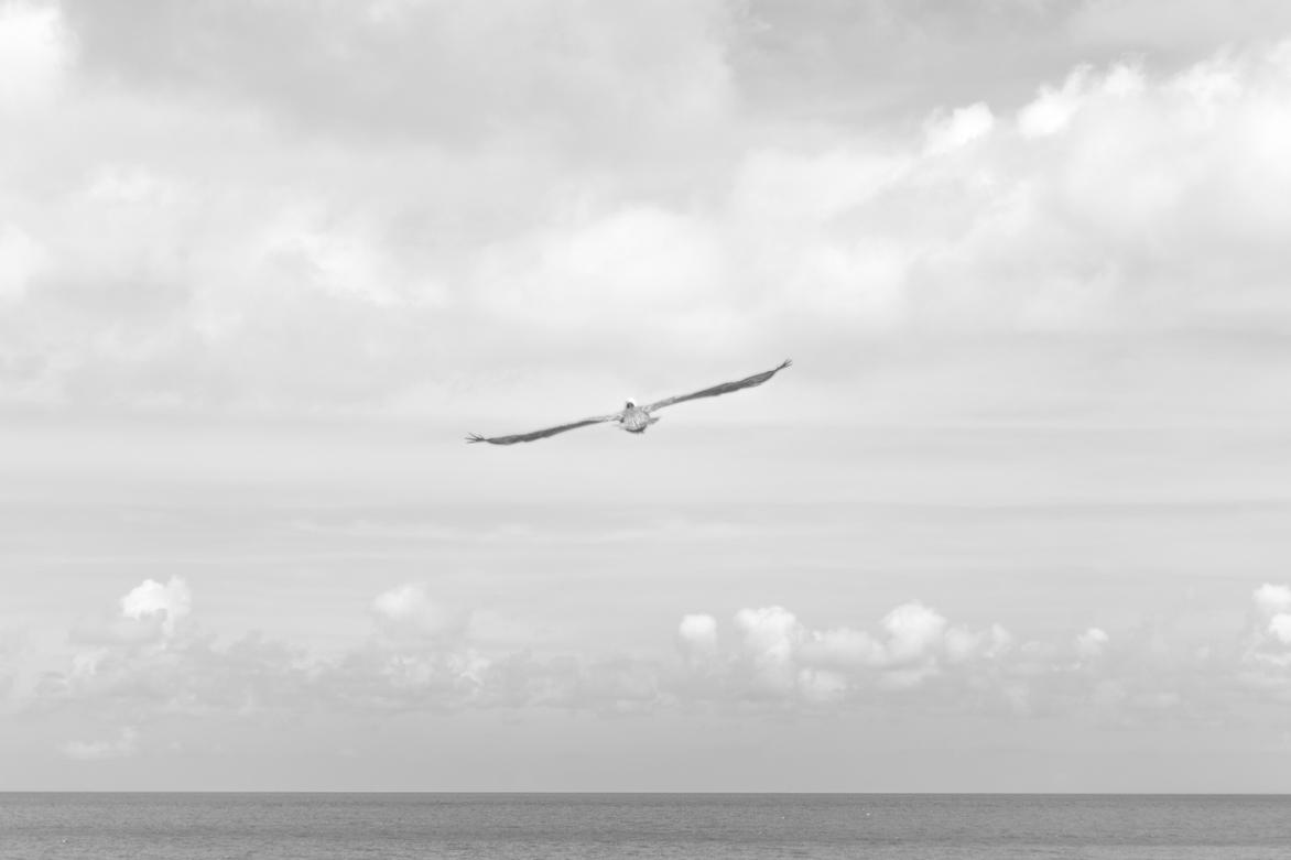 Aspernatur eos enim facere